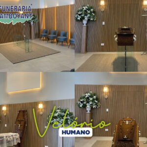 Salas de velório humano da Funerária Flamboyant: ambientes climatizados, ornamentação floral elegante e estrutura completa para despedidas dignas em Sumaré.