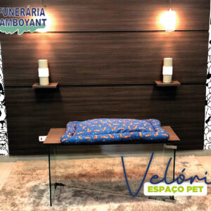 Ambiente exclusivo de velório para pets da Funerária Flamboyant: espaço acolhedor, iluminação suave e suporte 24 horas para uma despedida digna em Sumaré.
