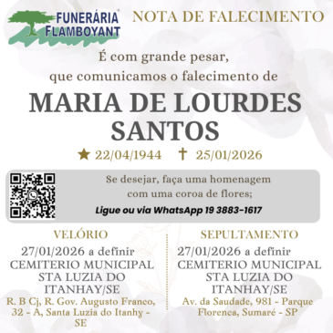 MARIA DE LOURDES SANTOS