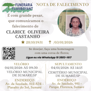 CLARICE DE OLIVEIRA SOUZA CASTANHO