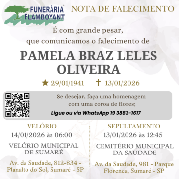 PAMELA BRAZ LELLES OLIVEIRA