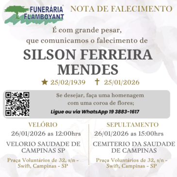 SILSON FERREIRA MENDES