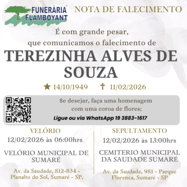 TEREZINHA ALVES DE SOUSA