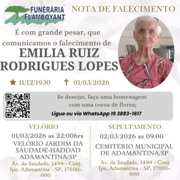 EMILIA RUIZ RODRIGUES LOPES