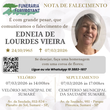 EDNÉIA DE LOURDES VIEIRA