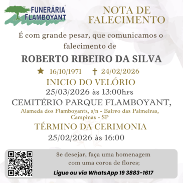 ROBERTO RIBEIRO DA SILVA