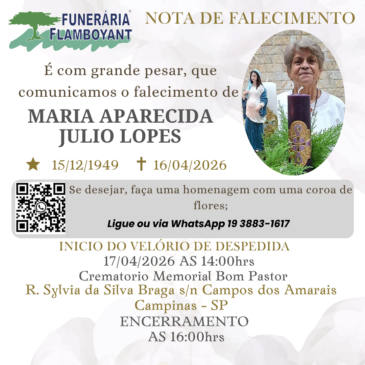 MARIA APARECIDA JULIO LOPES