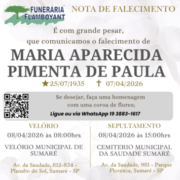 MARIA APARECIDA PIMENTA DE PAULA
