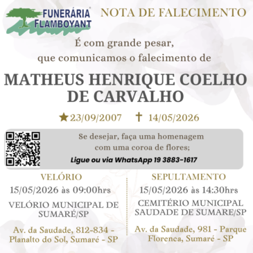 MATHEUS HENRIQUE COELHO DE CARVALHO