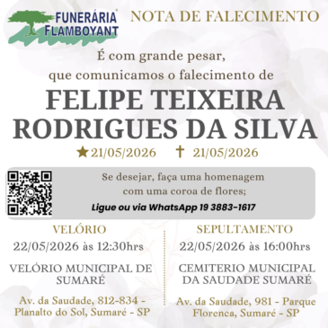 FELIPE TEIXEIRA RODRIGUES DA SILVA