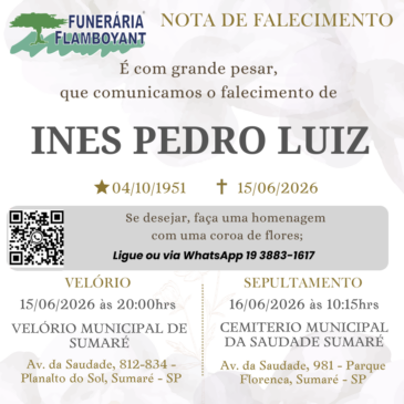 INES PEDRO LUIZ