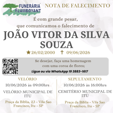 JOÃO VITOR DA SILVA SOUZA