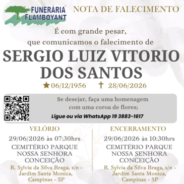 SERGIO LUIZ VITORIO DOS SANTOS