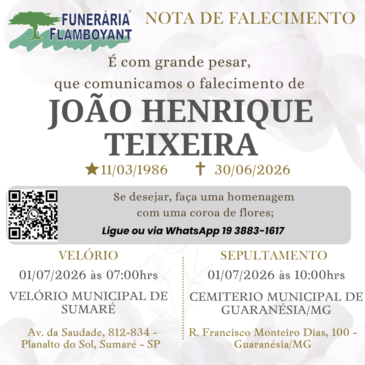 JOÃO HENRIQUE TEIXEIRA