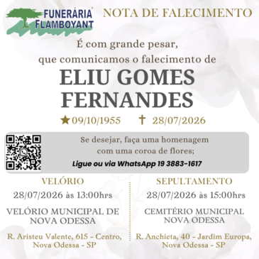 ELIU GOMES FERNANDES