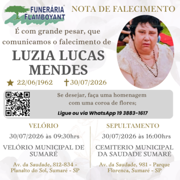 LUZIA LUCAS MENDES