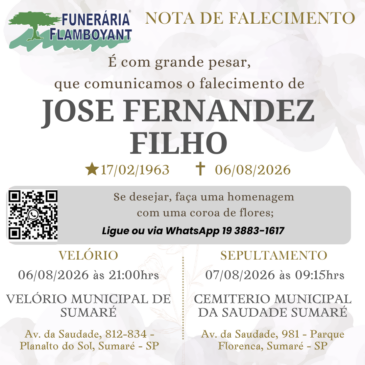 JOSE FERNANDEZ FILHO
