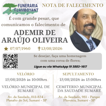 ADEMIR DE ARAUJO DA SILVA