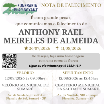 ANTHONY RAEL MEIRELES DE ALMEIDA