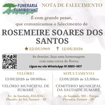 ROSEMEIRE SOARES DOS SANTOS