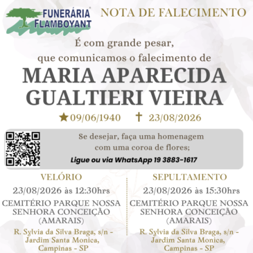 MARIA APARECIDA GUALTIERI VIEIRA