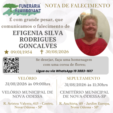 EFIGENIA SILVA RODRIGUES GONÇALVES