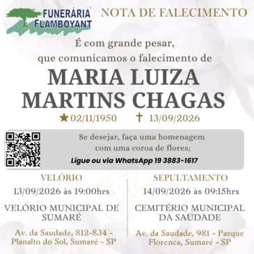MARIA LUIZA MARTINS CHAGAS